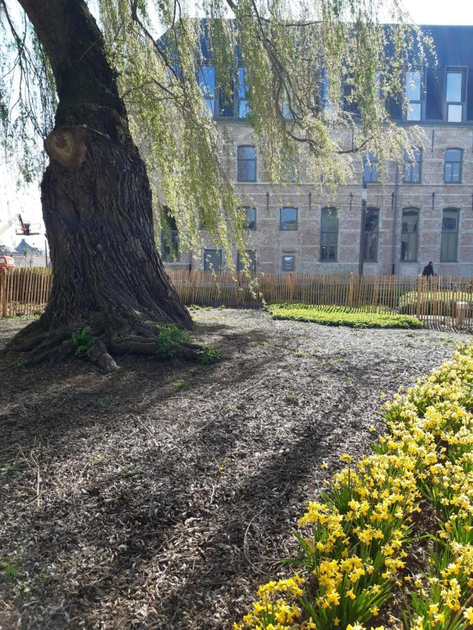 Apartmán Het Maelslot Mechelen Exteriér fotografie