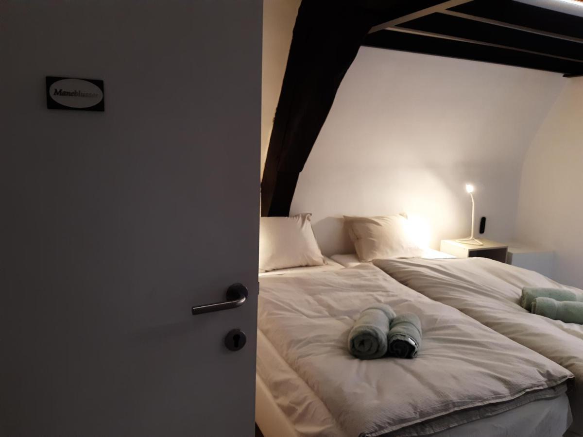 Apartmán Het Maelslot Mechelen Exteriér fotografie